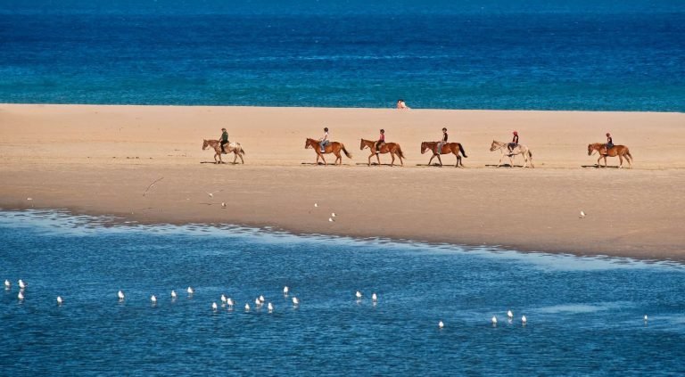 Classical European Architecture