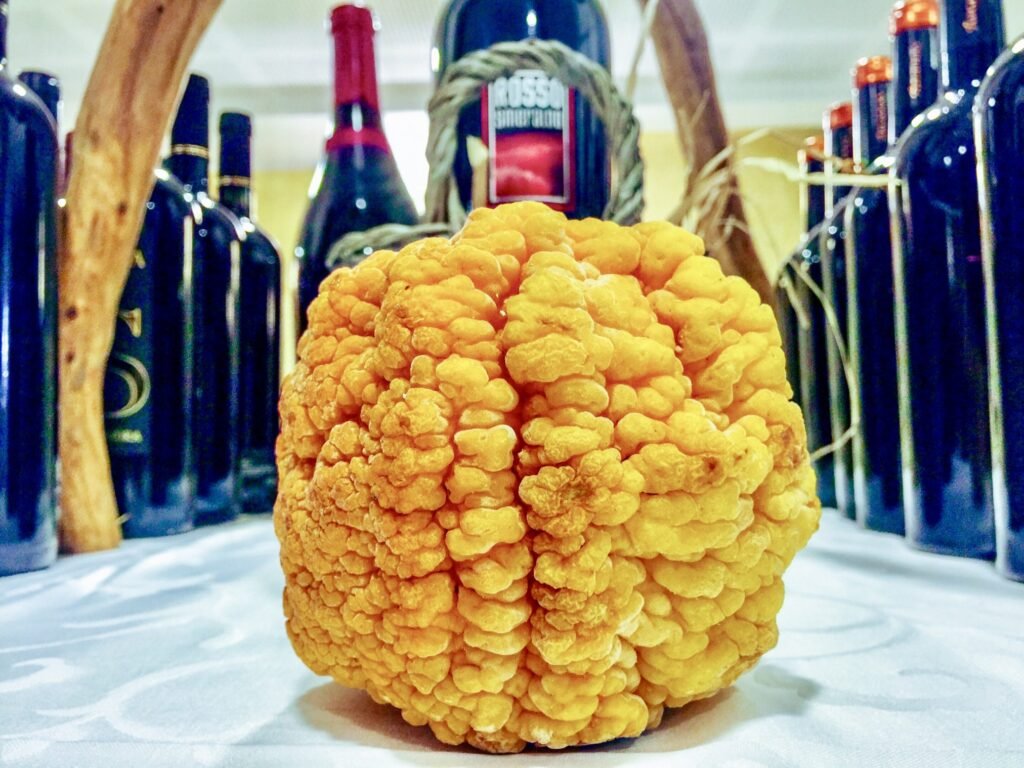 Sardinia Pompia fruite