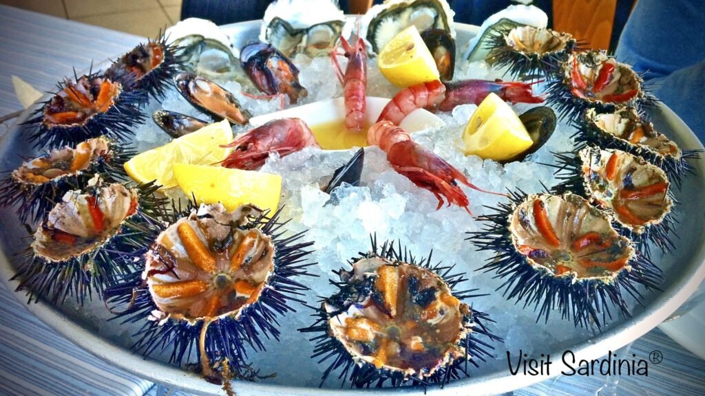 Sardinia sea archins