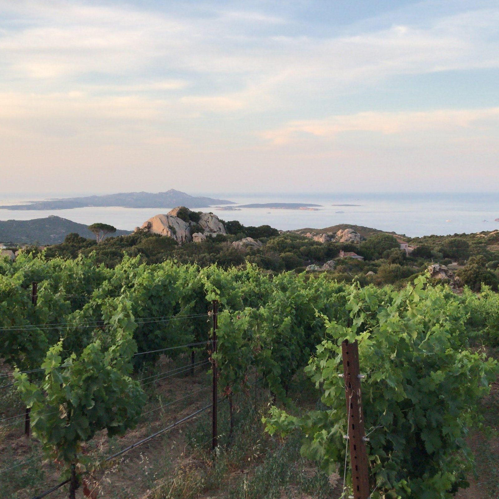 Visit Sardinia in Style