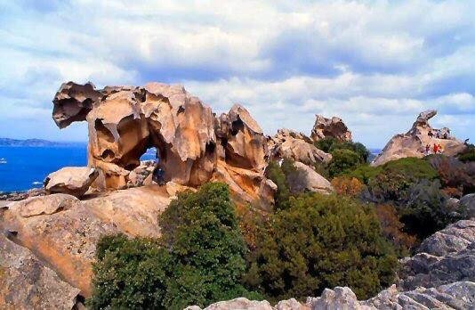 Visit Sardinia in Style