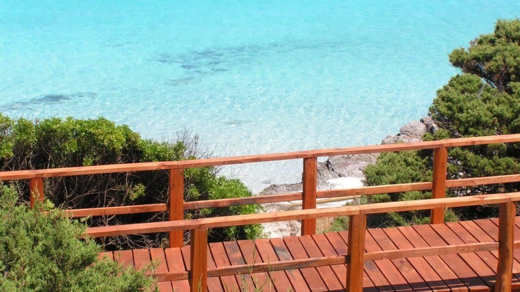 866DCDA2 A828 4FF4 9094 8806DB7B2E47 edited